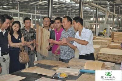 樂山國林家居用品招聘信息_公司前景_規(guī)模_待遇怎么樣