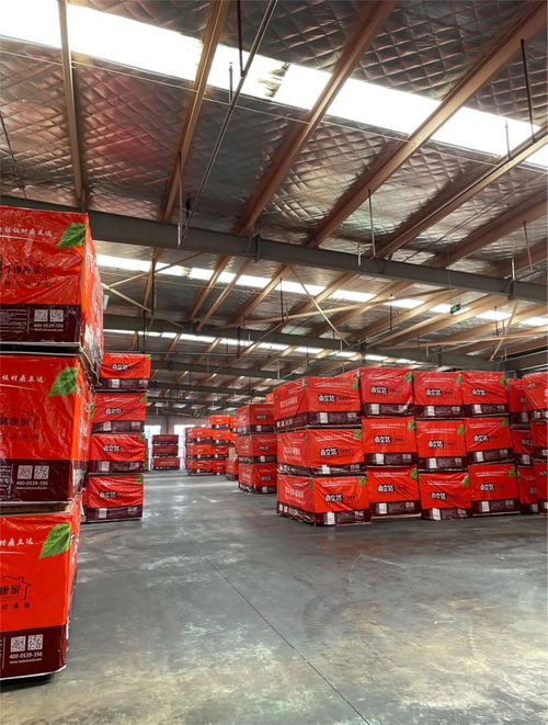 鼎立達(dá)榮獲金匠榜健康板材十大品牌 實(shí)力加冕，引領(lǐng)木業(yè)高質(zhì)量發(fā)展