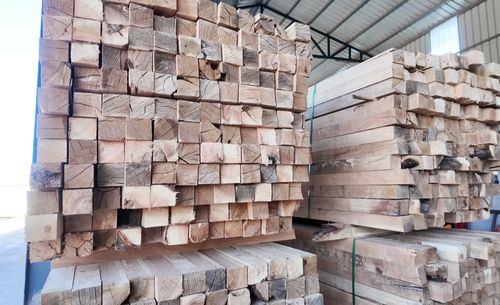 投資億元，新源添新綠——新疆新源縣現代化木材加工廠正式投產，引領木業高質量發展