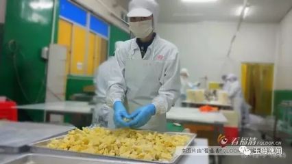念其善 賣“不起眼”的水果，年銷近2億元的食品銷售傳奇
