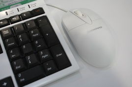 聯想C305舒適型3250e一體電腦 視覺與性能的和諧統一